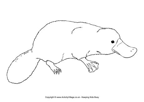 Printable Platypus Coloring Pages 5