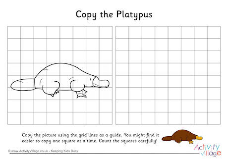 Platypus Grid Copy