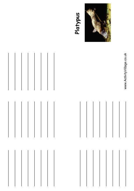 Platypus booklet