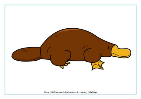 Platypus poster 2