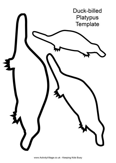 Platypus template