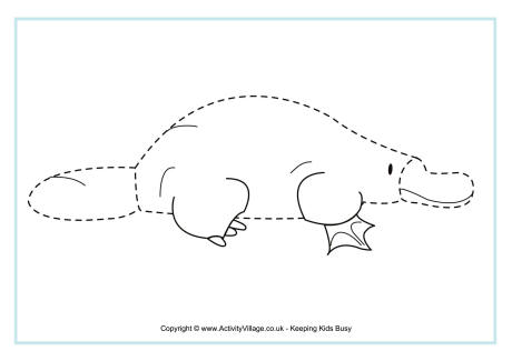 Platypus tracing page
