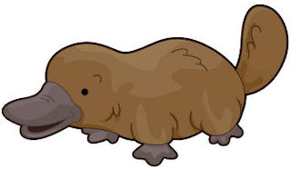 Platypuses