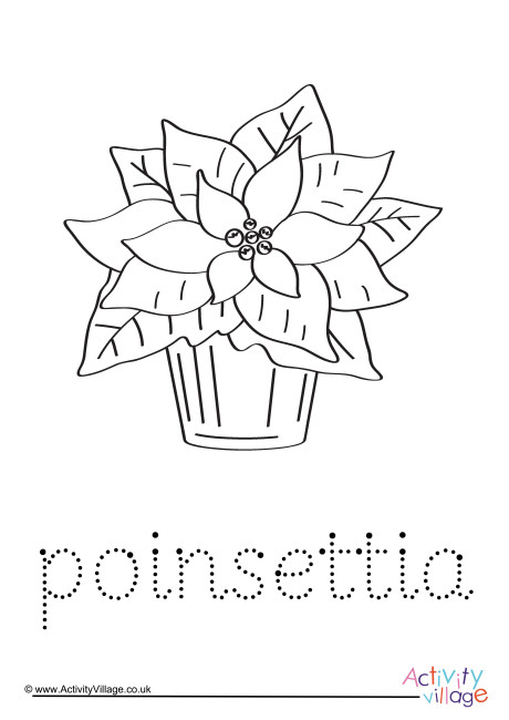 Poinsettia Word Tracing