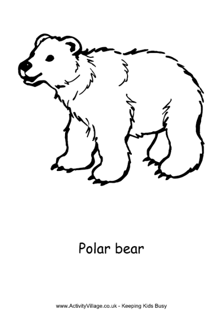 Polar Bear Colouring Page
