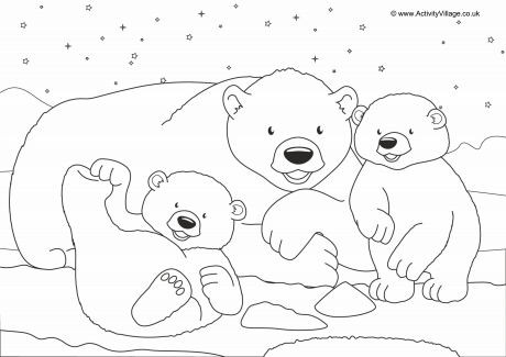 Polar Bears Scene Colouring Page