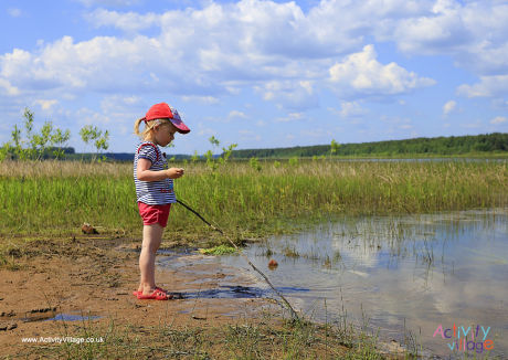Pond dipping poster