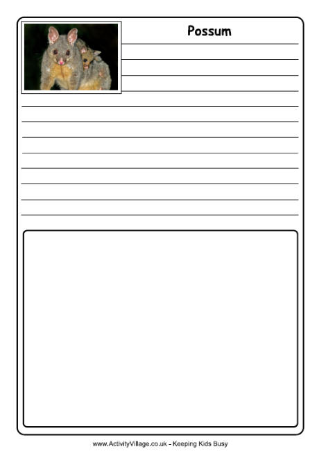 Possum notebooking page