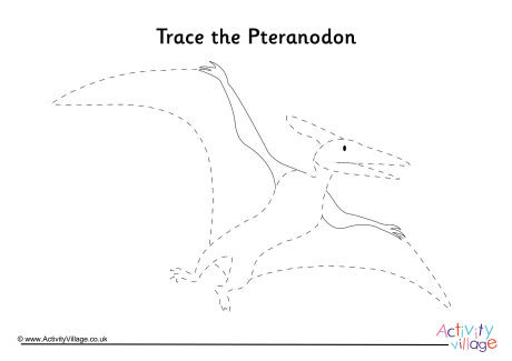 Pteranodon Tracing Page