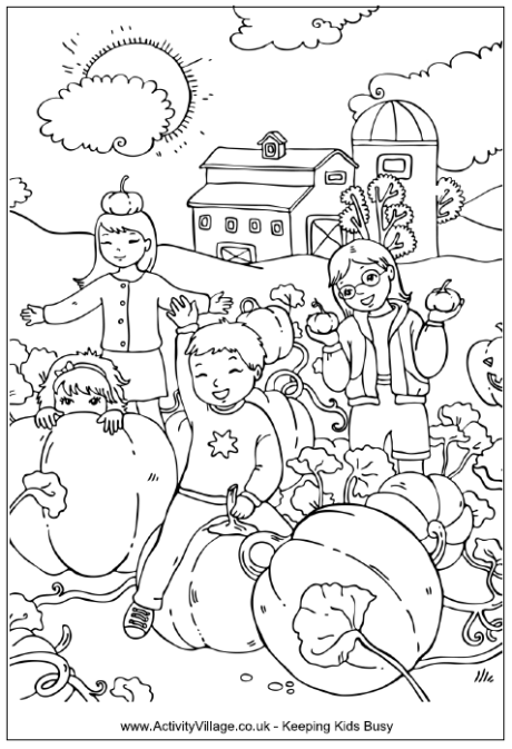 Pumpkin patch colouring page