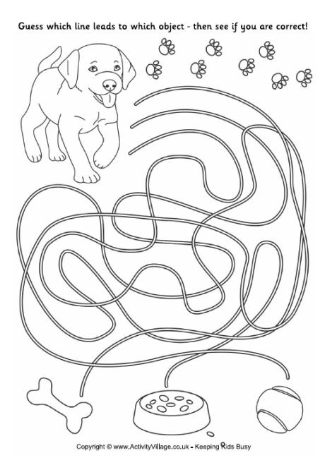 Puppy Match Up