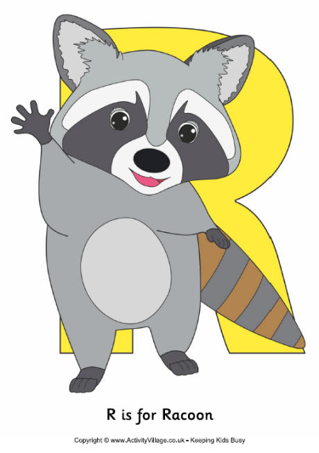 R is for racoon poster