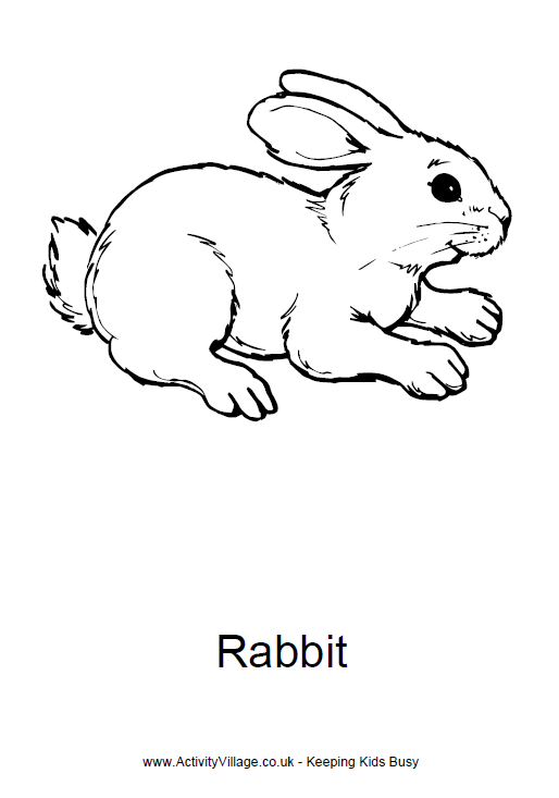 Rabbit Colouring Page To Print