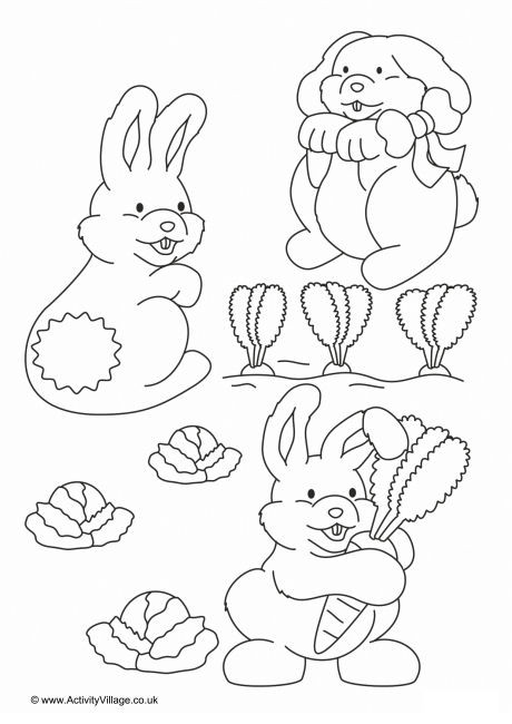 Rabbits Colouring Page