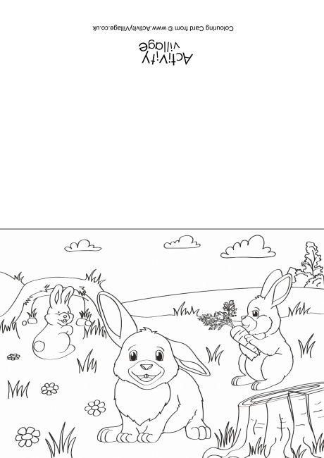 Rabbits Scene Colouring Card