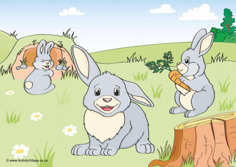 Rabbits Scene Poster