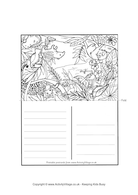 Rainforest postcard