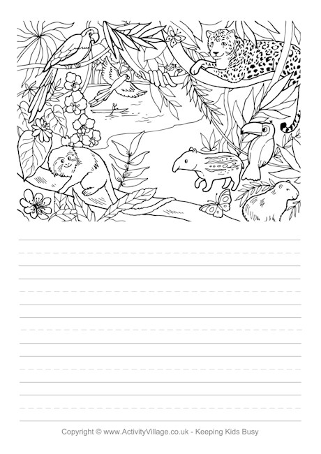 Rainforest Story Paper