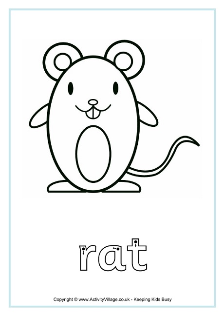 Rat finger tracing