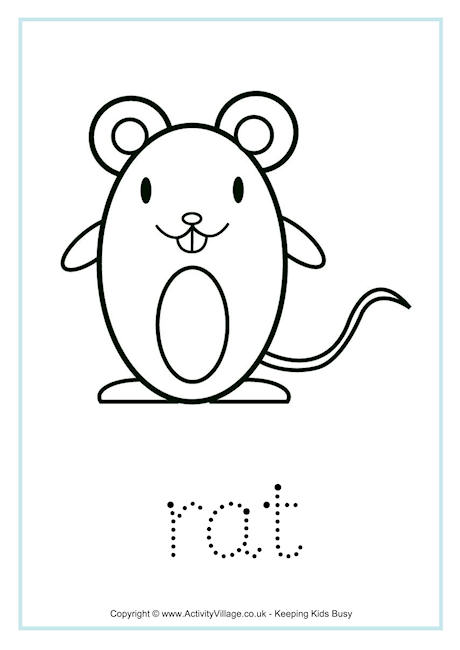 Rat tracing worksheet