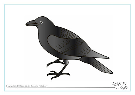 Raven Poster Raven Poster