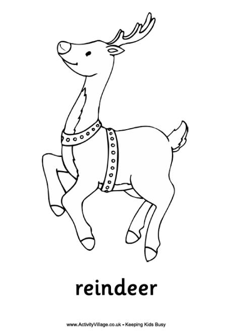 Reindeer colouring page