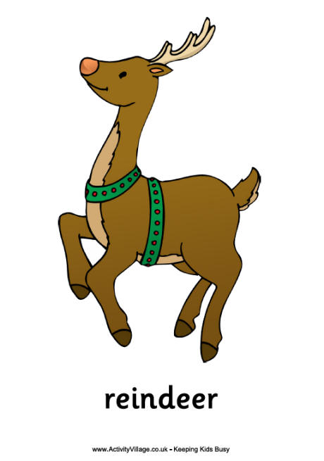 Reindeer poster