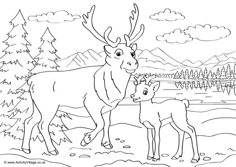 Reindeer Scene Colouring Page