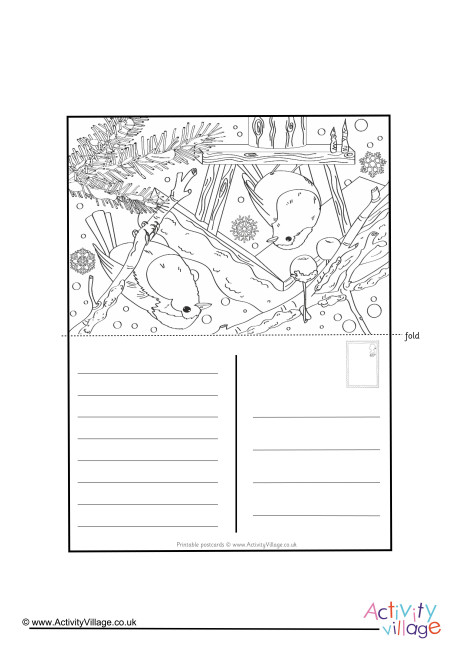 Robin Scene Colouring Postcard Robin Scene Colouring Postcard