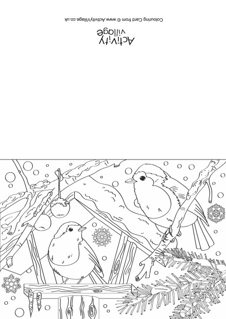 Robins Scene Colouring Card