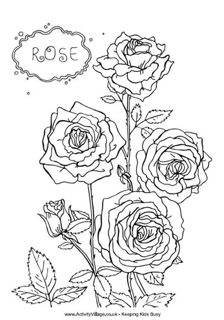 Rose Colouring Page