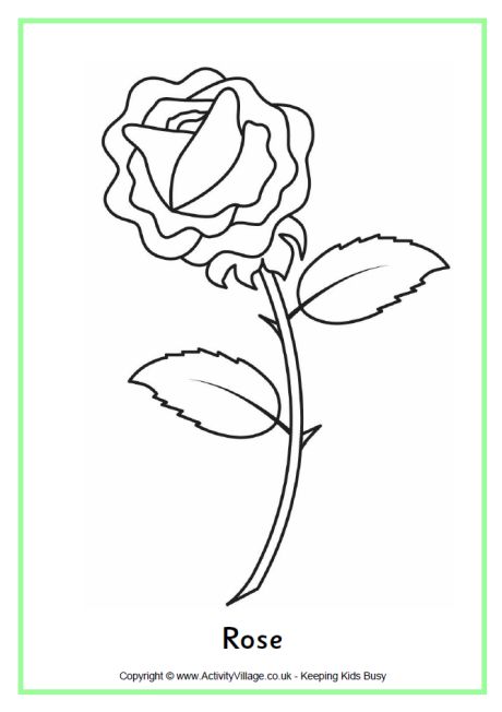 Rose colouring page 3