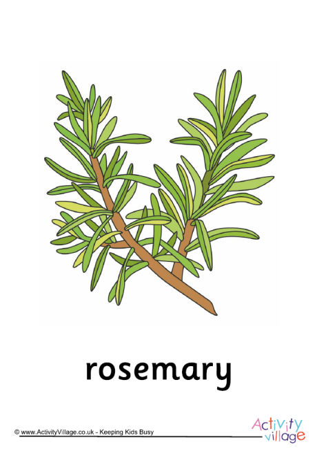 Rosemary poster