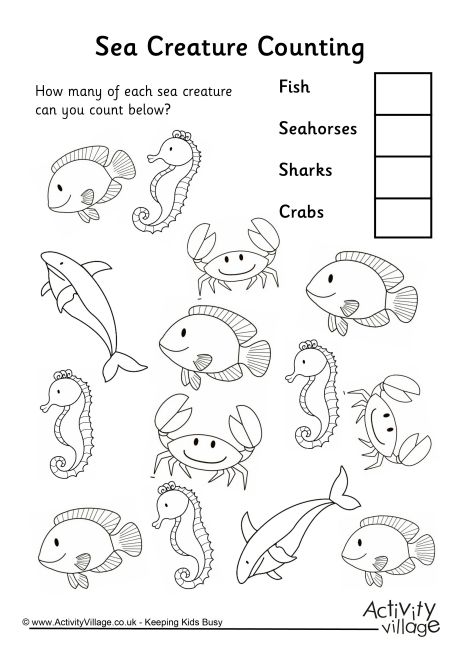 Sea Creature Counting 3