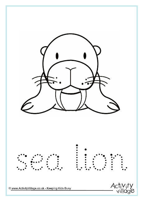 Sea Lion Word Tracing