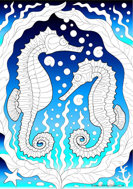 Seahorse Doodle Colour Pop Colouring Page