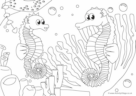 Seahorses Scene Colouring Page