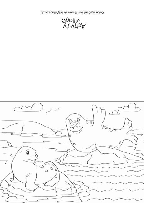 Seals Scene Colouring Card