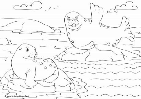 Seals Scene Colouring Page