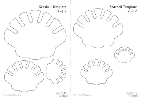 Seashell template