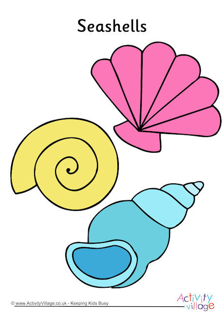 Seashells Poster