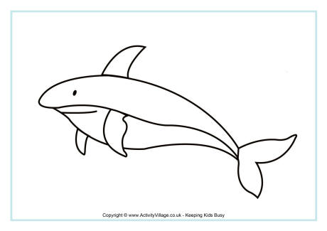 Shark colouring page