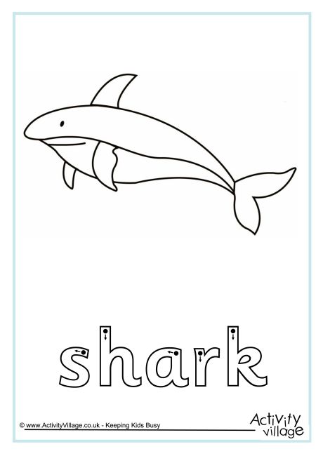 Shark finger tracing