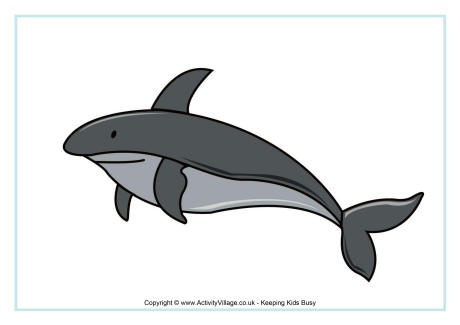 Shark poster