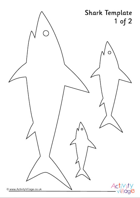 Shark template