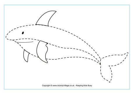 Shark tracing