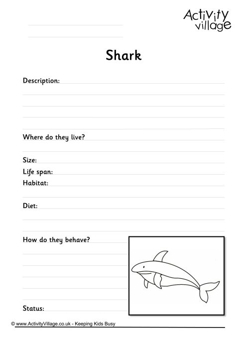 Shark worksheet