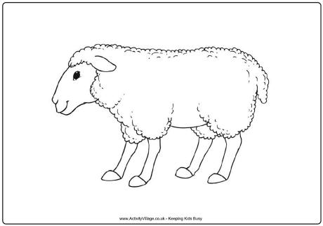 Sheep Colouring Page 2