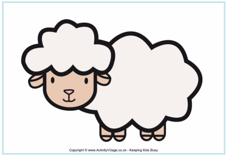 Sheep poster Sheep poster