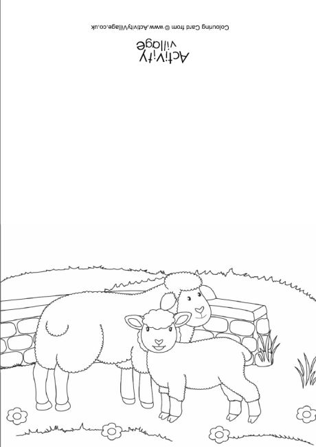 Sheep scene colouring card
